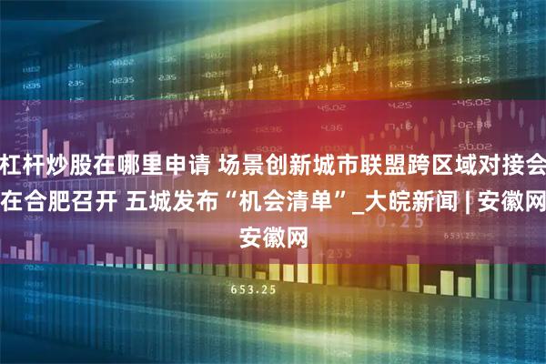 杠杆炒股在哪里申请 场景创新城市联盟跨区域对接会在合肥召开 五城发布“机会清单”_大皖新闻 | 安徽网